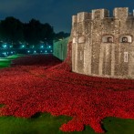 In Flanders Fields